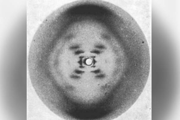 Rosalind Franklin's Career.