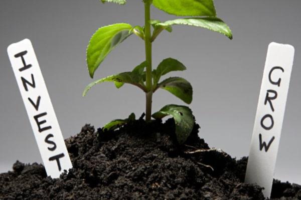 7 Celebrities Who Have Benefitted Millions From Proper Investments