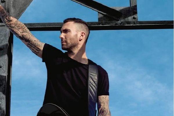What Is Adam Levine's Father Fred Levine Involved In?