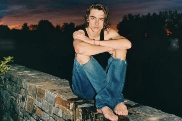 Timothée Chalamet Biography - Actor